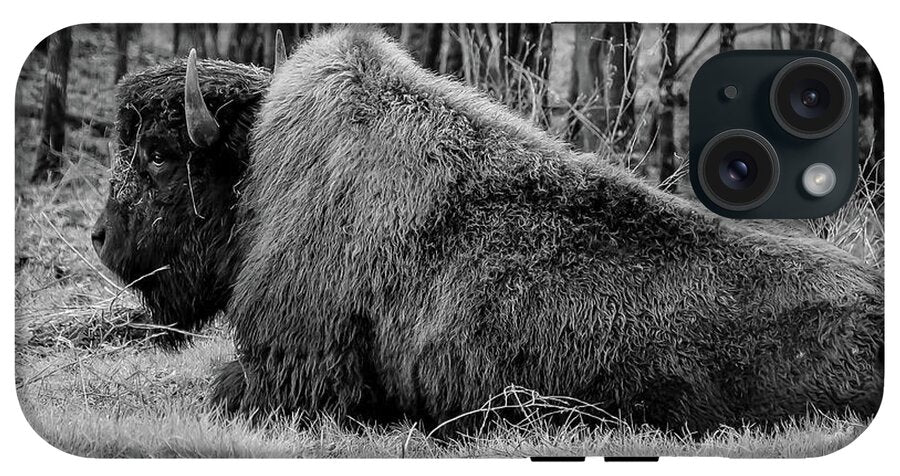 Buffalo black and white - Phone Case