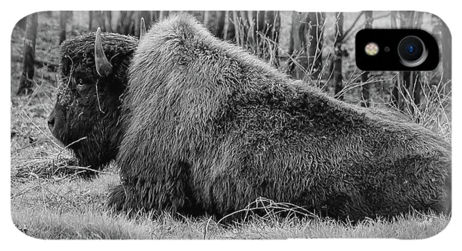 Buffalo black and white - Phone Case