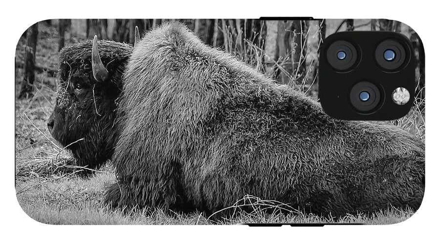 Buffalo black and white - Phone Case