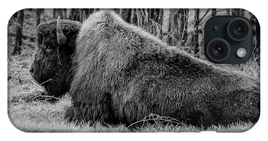 Buffalo black and white - Phone Case