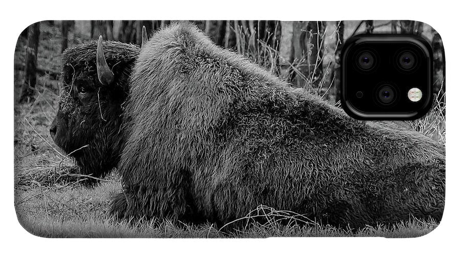 Buffalo black and white - Phone Case