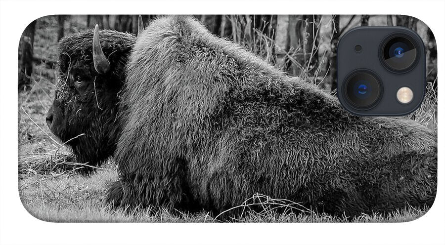 Buffalo black and white - Phone Case