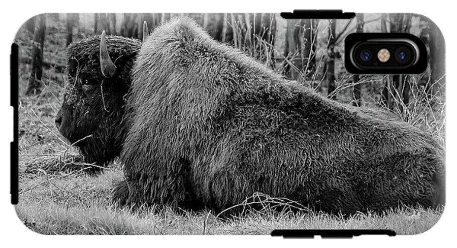 Buffalo black and white - Phone Case