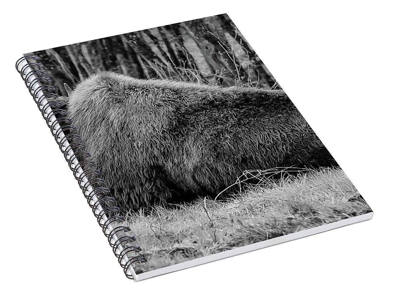 Buffalo black and white - Spiral Notebook