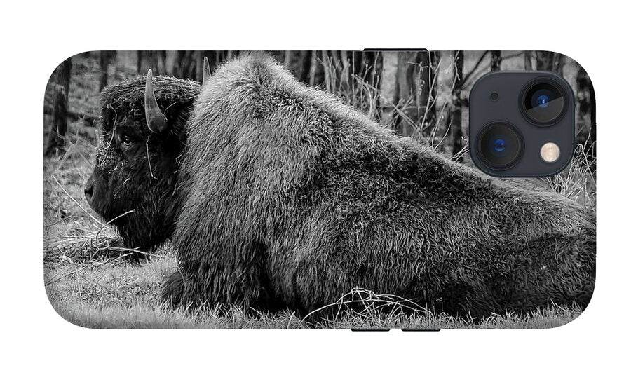 Buffalo black and white - Phone Case