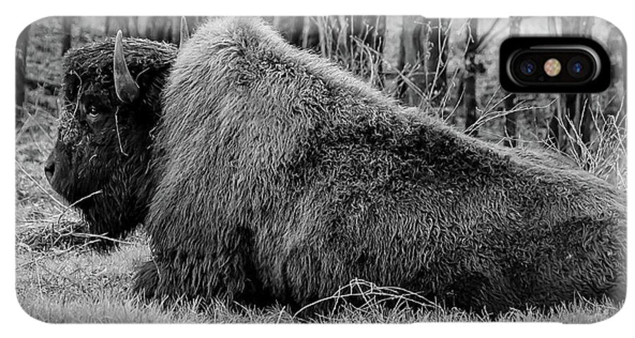 Buffalo black and white - Phone Case
