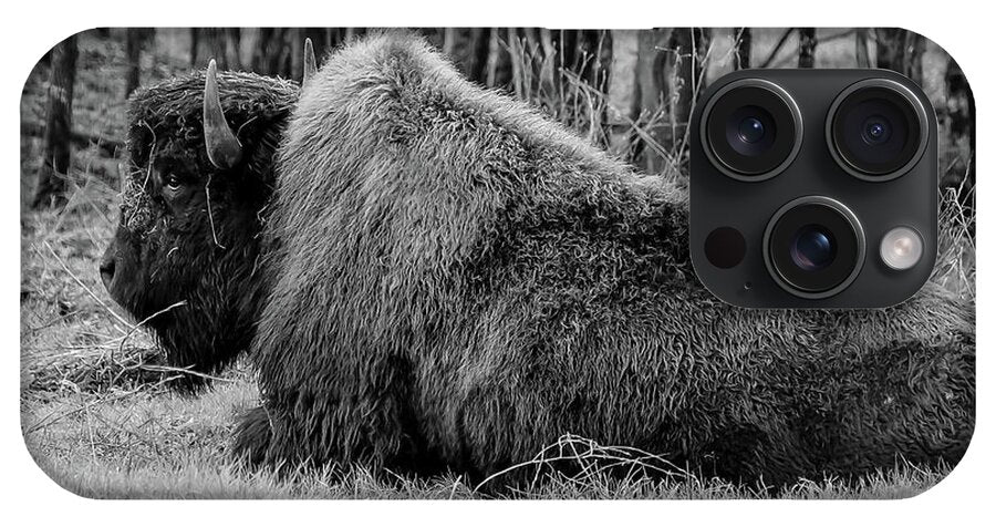 Buffalo black and white - Phone Case