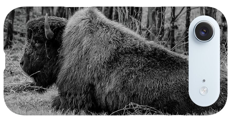 Buffalo black and white - Phone Case