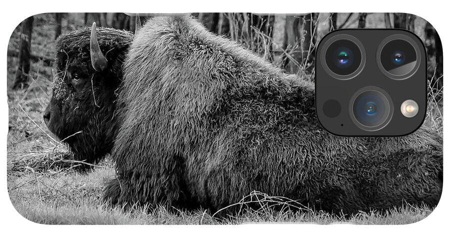 Buffalo black and white - Phone Case