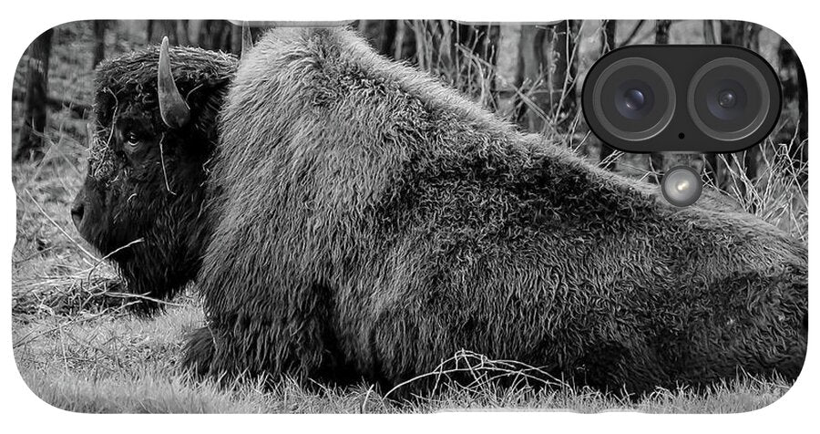 Buffalo black and white - Phone Case