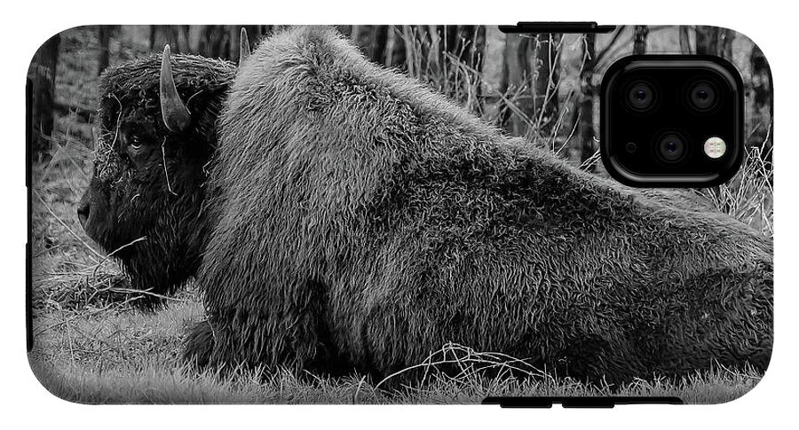 Buffalo black and white - Phone Case