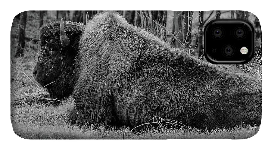 Buffalo black and white - Phone Case