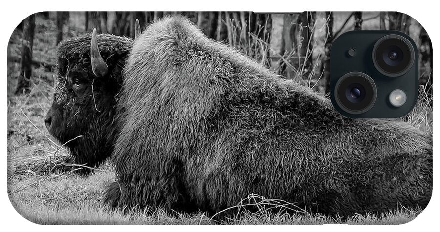 Buffalo black and white - Phone Case