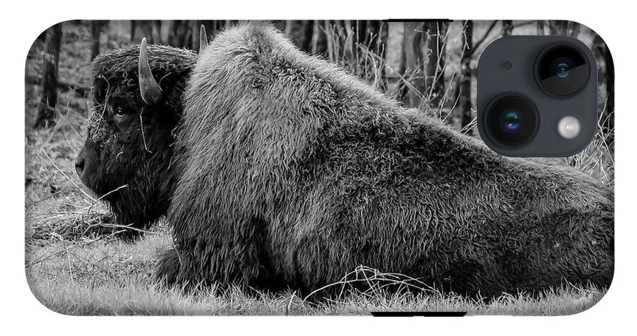 Buffalo black and white - Phone Case