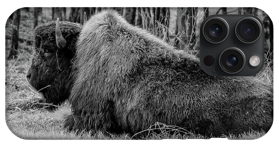 Buffalo black and white - Phone Case