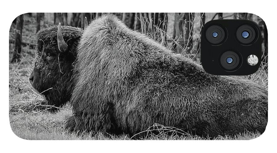 Buffalo black and white - Phone Case
