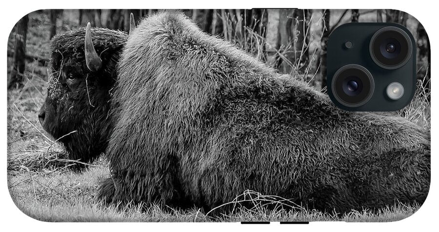 Buffalo black and white - Phone Case
