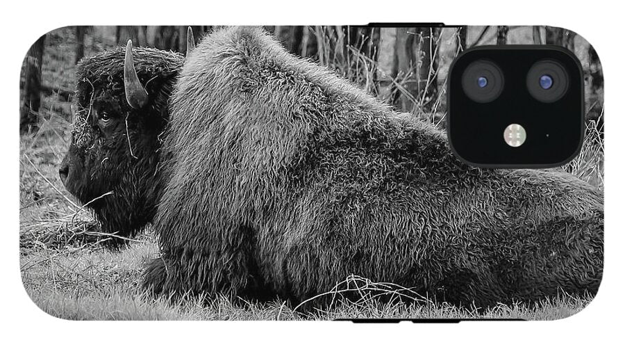 Buffalo black and white - Phone Case