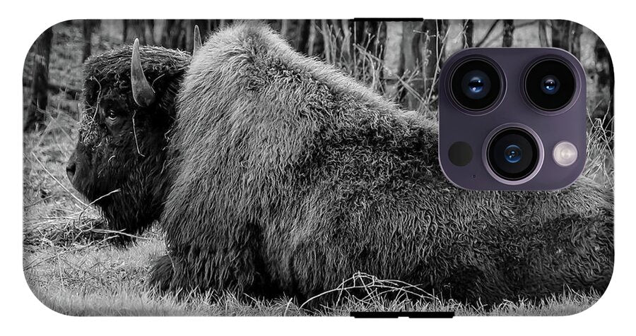 Buffalo black and white - Phone Case