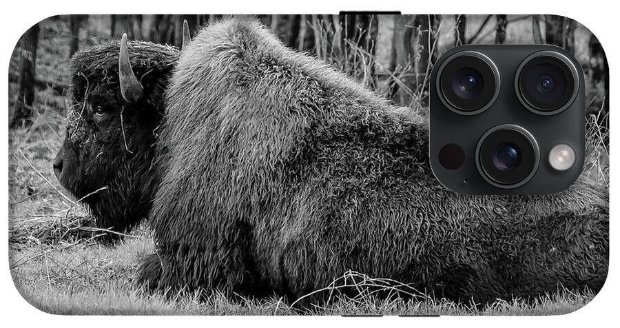 Buffalo black and white - Phone Case