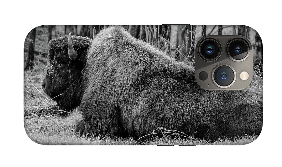 Buffalo black and white - Phone Case