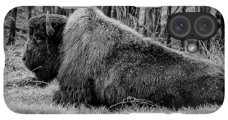 Buffalo black and white - Phone Case