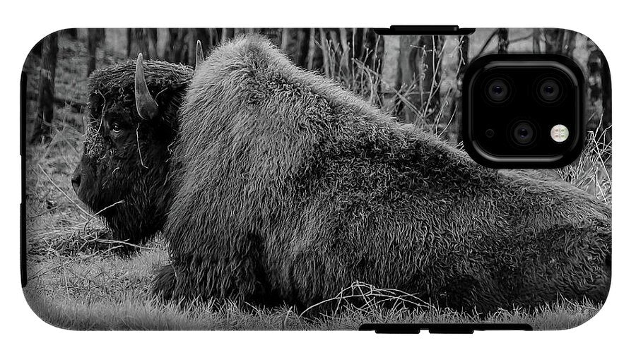 Buffalo black and white - Phone Case