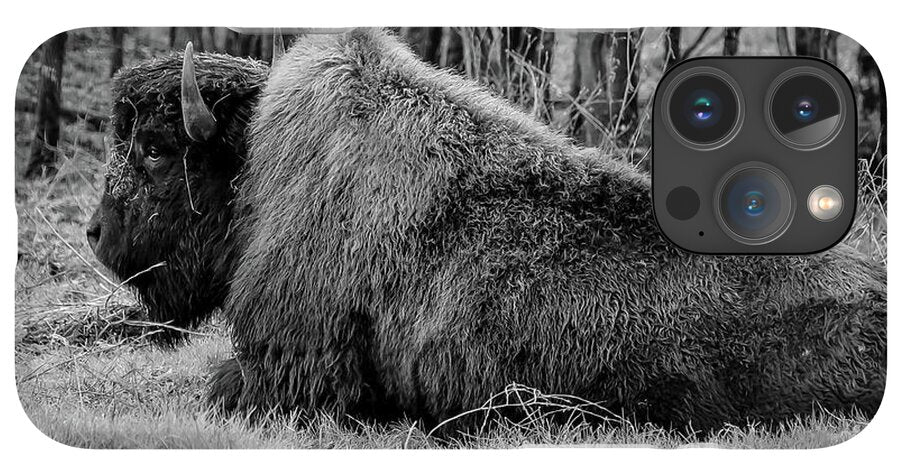 Buffalo black and white - Phone Case