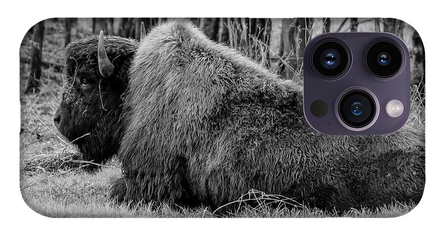 Buffalo black and white - Phone Case
