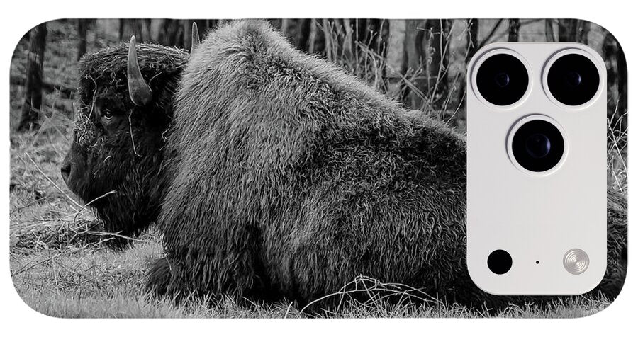 Buffalo black and white - Phone Case