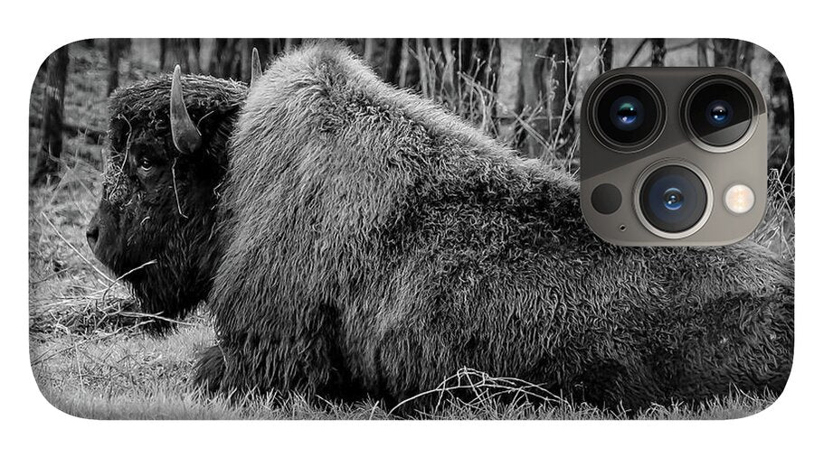Buffalo black and white - Phone Case