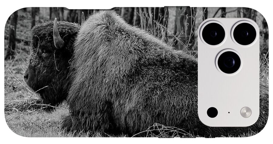 Buffalo black and white - Phone Case