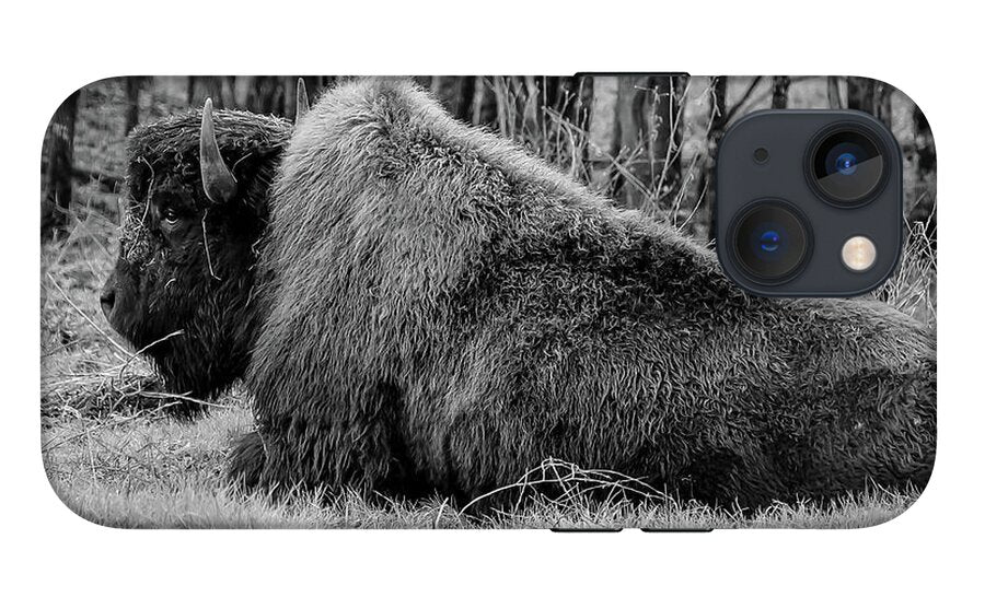 Buffalo black and white - Phone Case