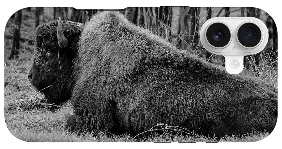 Buffalo black and white - Phone Case