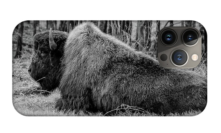 Buffalo black and white - Phone Case