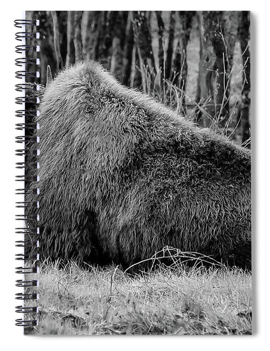 Buffalo black and white - Spiral Notebook