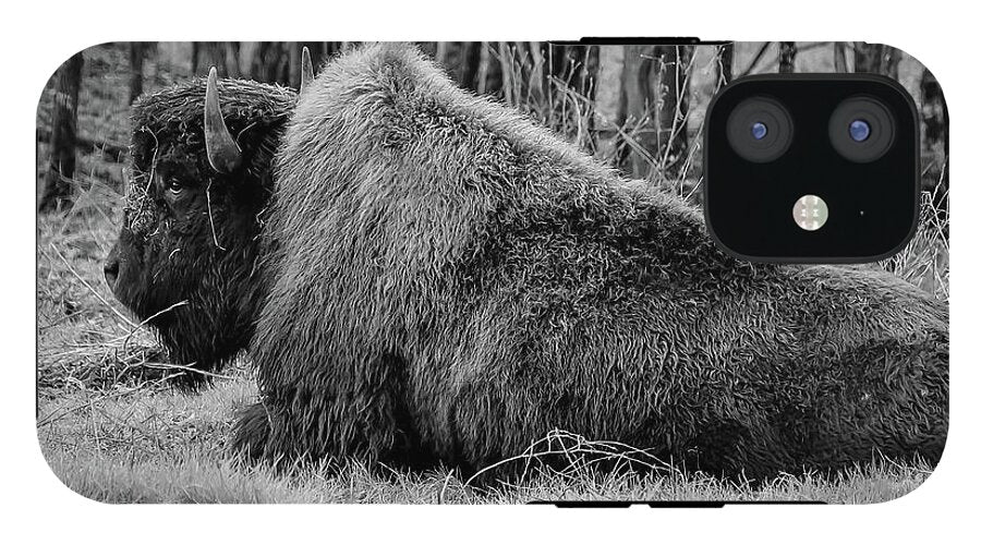Buffalo black and white - Phone Case