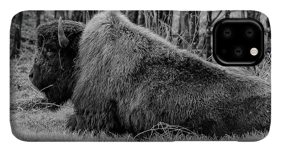 Buffalo black and white - Phone Case