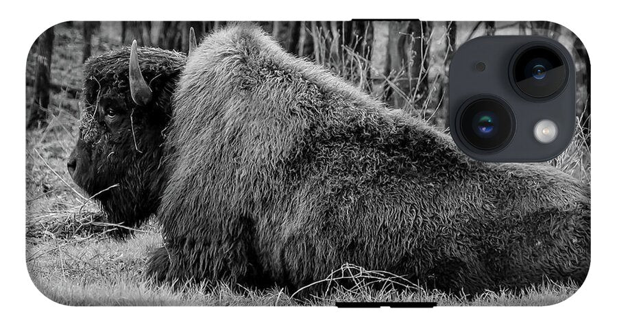 Buffalo black and white - Phone Case