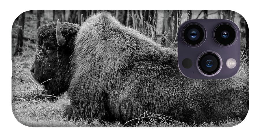 Buffalo black and white - Phone Case