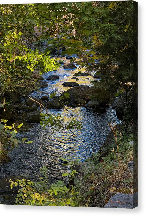 Creek - Canvas Print