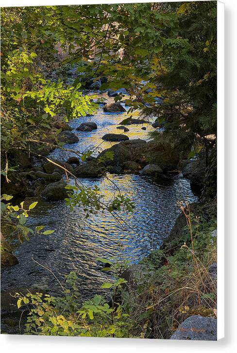 Creek - Canvas Print