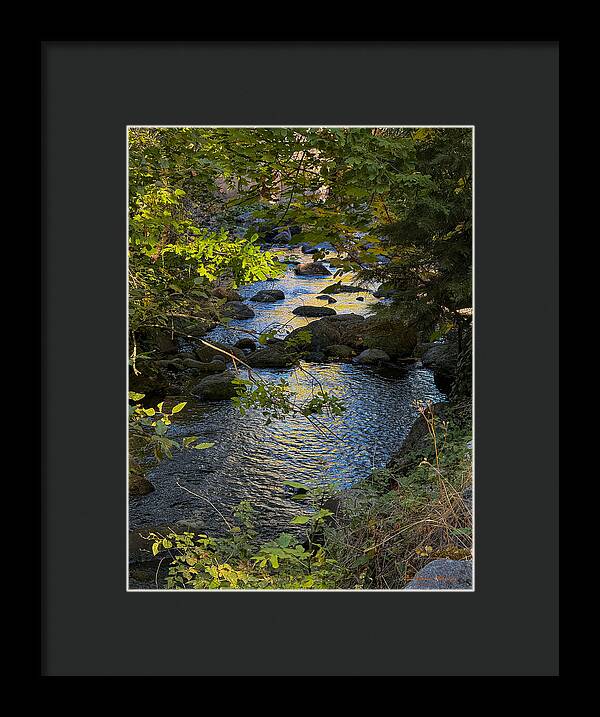 Creek - Framed Print
