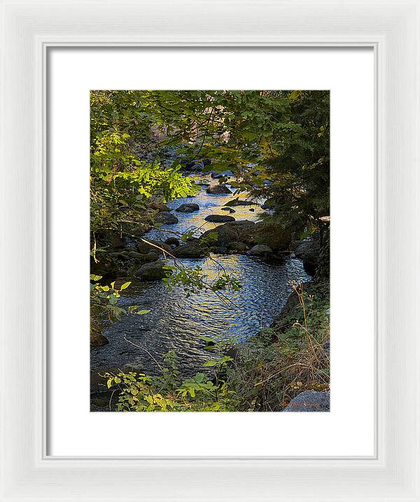 Creek - Framed Print