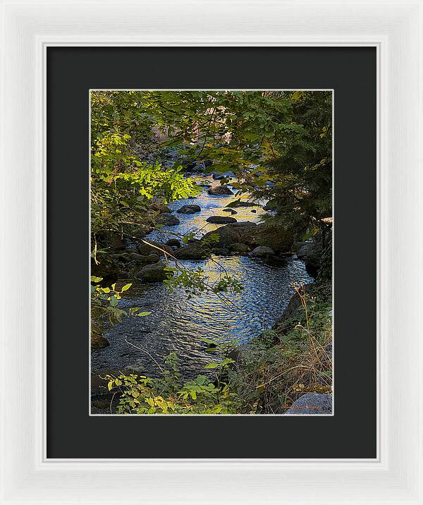 Creek - Framed Print