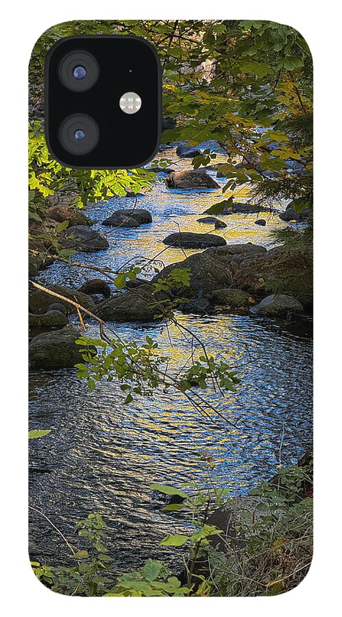 Creek - Phone Case