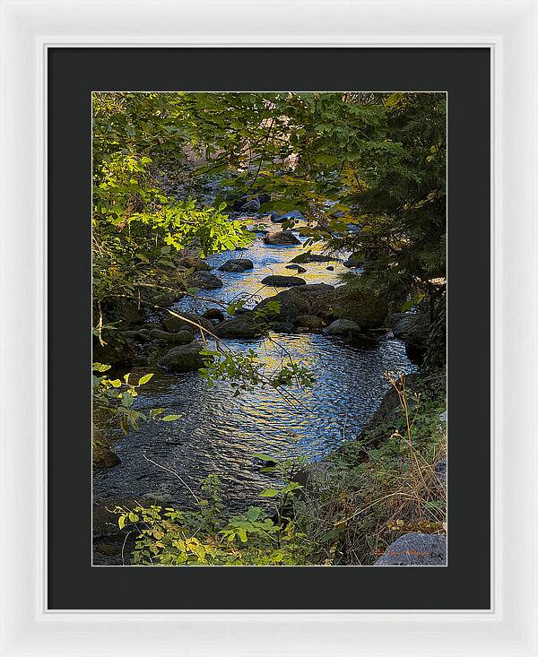 Creek - Framed Print