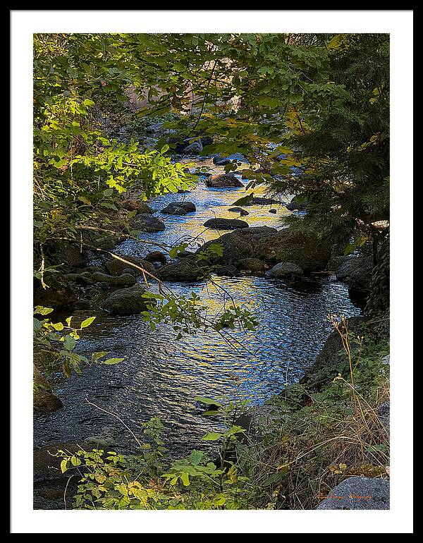 Creek - Framed Print