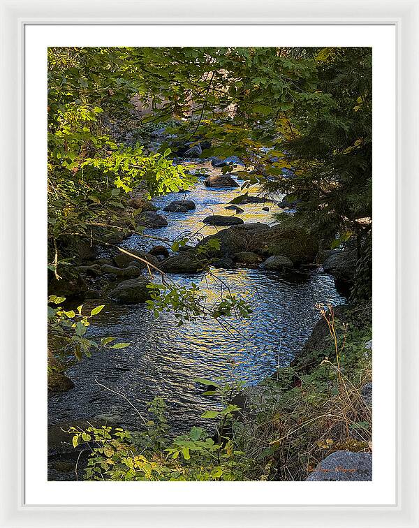 Creek - Framed Print