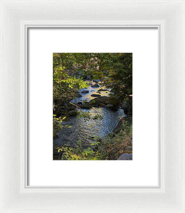 Creek - Framed Print